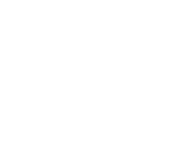 BOLA BASQUETE - CONVOY SPORTS