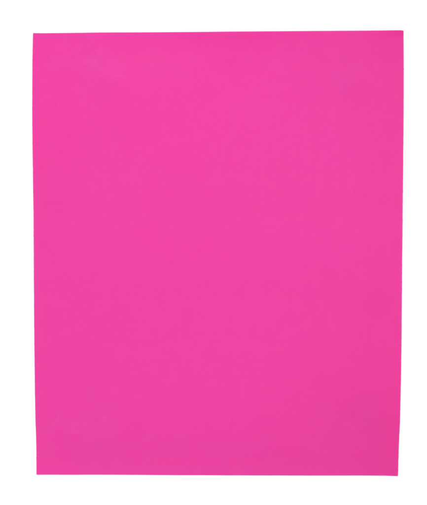 YP7782_ROSA_F